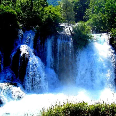 Hotel Rekic 4*